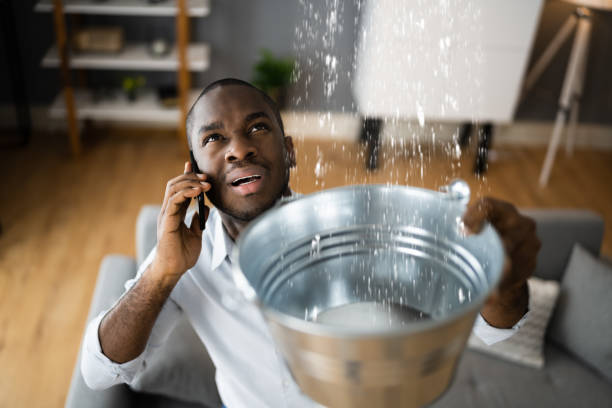 Best Water damage contractors near me  in Inverness, CA
