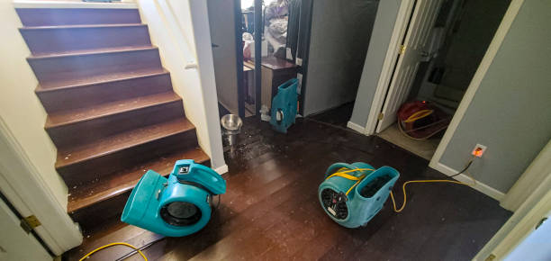 Best Commercial water damage restoration  in Inverness, CA