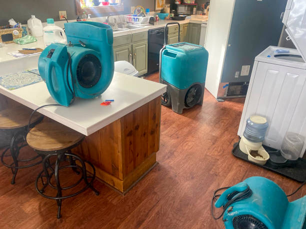 Best Carpet water damage restoration  in Inverness, CA