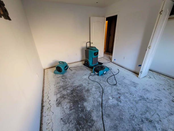 Best 24-hour water damage restoration  in Inverness, CA
