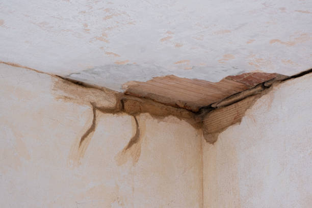 Carpet water damage restoration in Inverness, CA