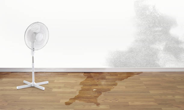 Water damage restoration mold remediation in Inverness, CA