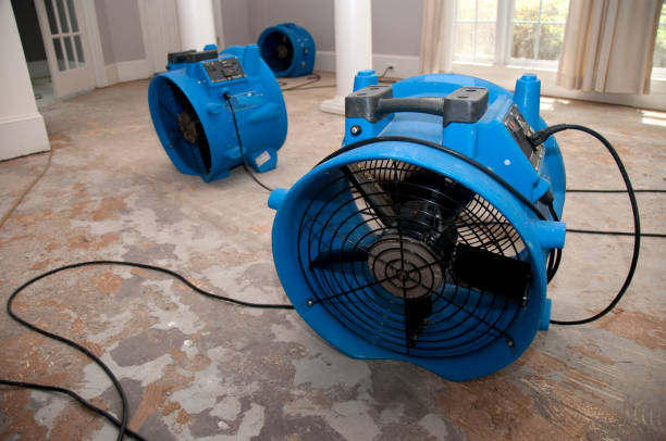 Best 24/7 water damage repair  in Inverness, CA