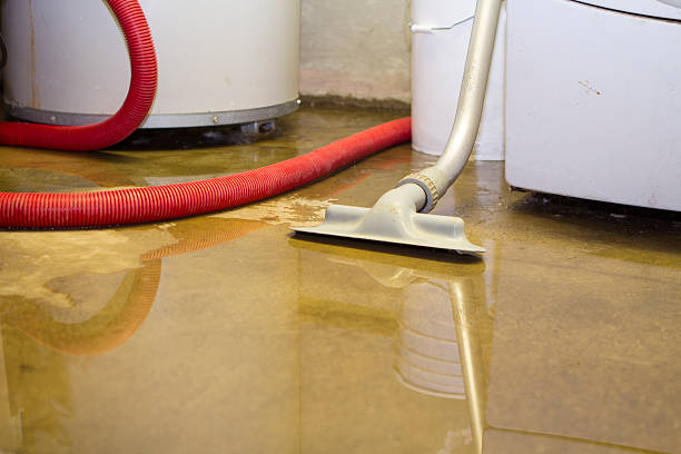 Trusted Inverness, CA Water damage restoration Experts