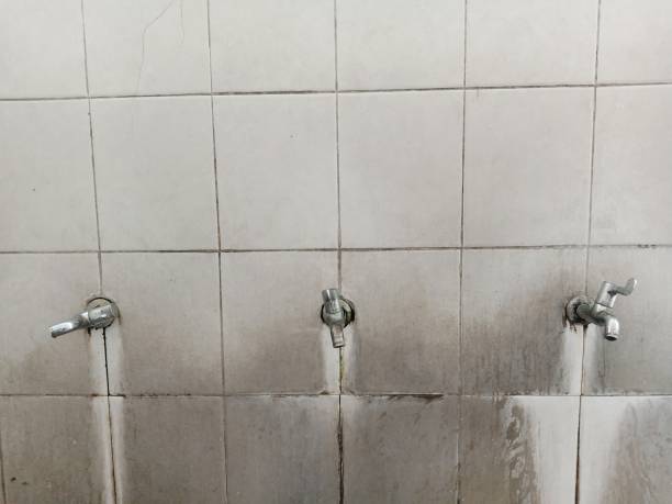 Best Local water damage restoration  in Inverness, CA