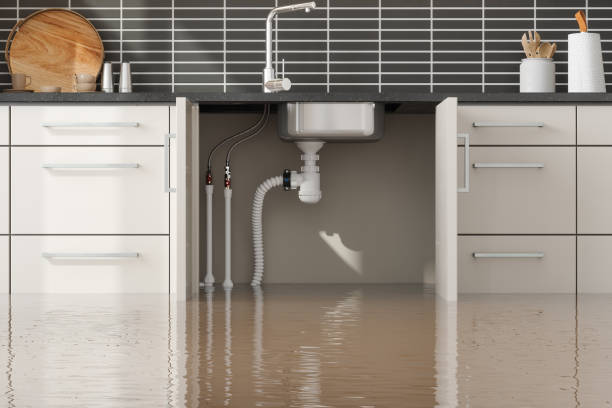 Best Sewage cleanup and water damage restoration  in Inverness, CA