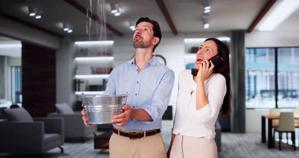 Best Mold removal after water damage  in Inverness, CA