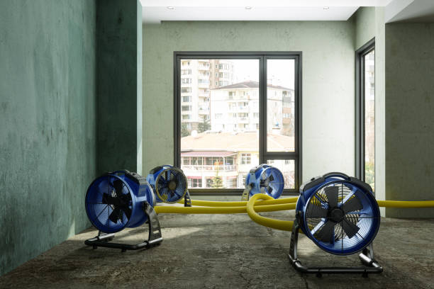 Best Water damage restoration specialists  in Inverness, CA