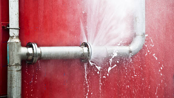 Best Professional water damage repair  in Inverness, CA